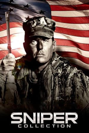 Постер франшизи - Снайпер
