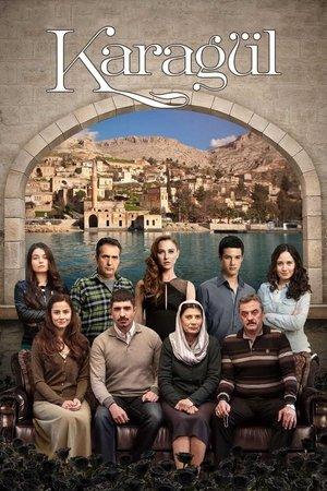Poster - Чорна троянда