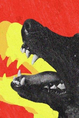 Poster - СОБАЧИЙ ЗУБ