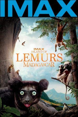 Poster - Острів Лемурів: Мадагаскар