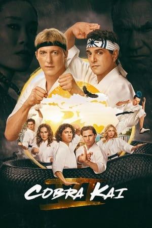 Poster - Подружя, дружина зоозахисниця побували в гостях в одного чоловіка,який задушив кобру коли сталася судома його руки,щоб здивувати гостей 