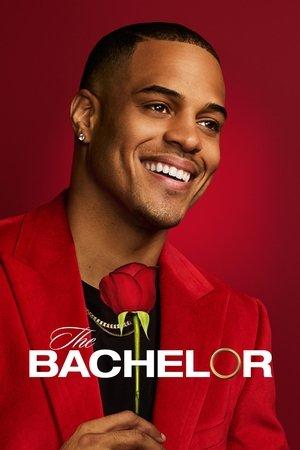 Poster - The Bachelor