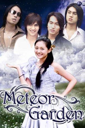 Poster - Метеоритний сад