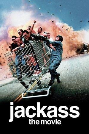 Poster - Диваки