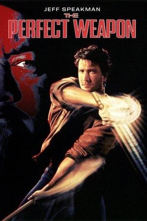Poster - Досконала зброя