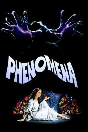 Poster - Phenomena