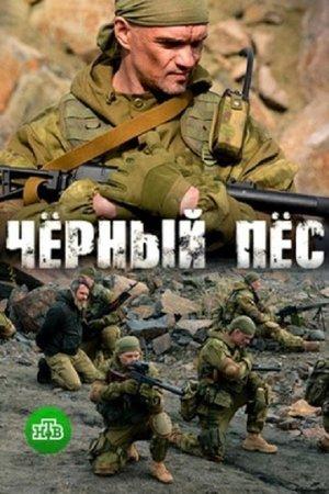 Poster - Черный пес