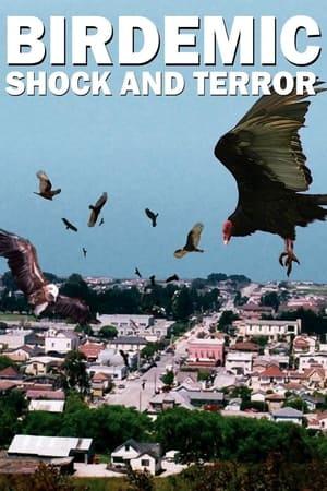 Постер - Birdemic: Shock and Terror