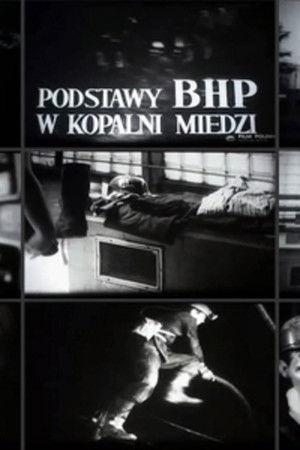 Poster - Принципи безпеки та гігієни на мідному шахті