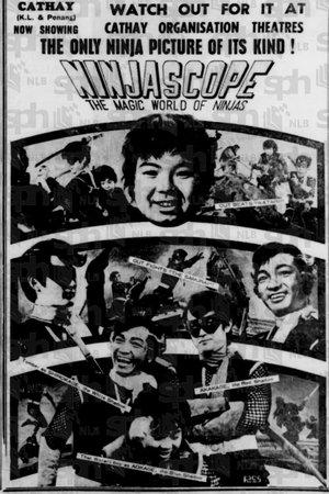 Poster - Ніндяскоп: Чарівний світ ніндзя