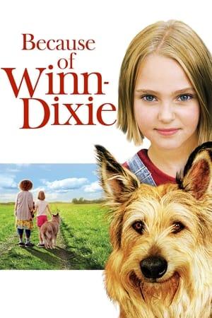 Постер - Because of Winn-Dixie