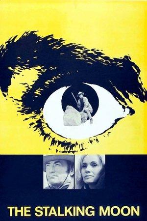 Poster - Слідами місяця