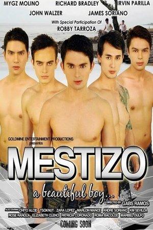Poster - Местисо: Красивий хлопець