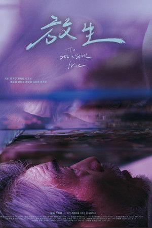 Poster - Визволити духа