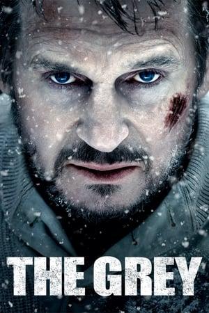 Poster - Сірий