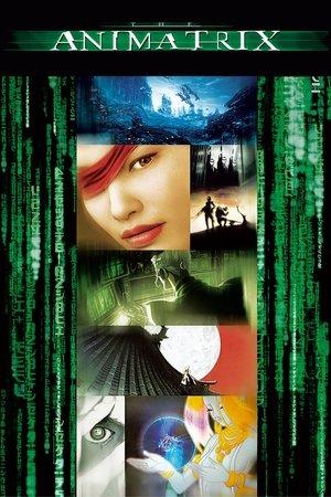 Poster - Аніматриця