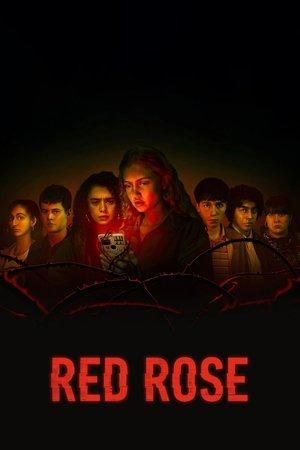 Poster - Червона троянда