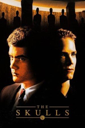 Poster - Черепи