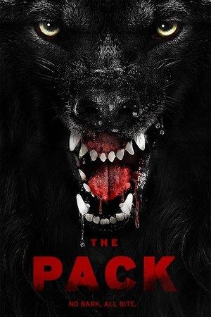 Poster - Зграя