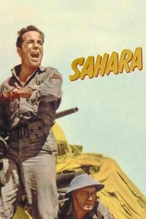 Poster - Сахара