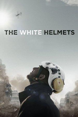 Poster - Білі шоломи