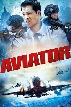 Poster - Фільм за формулою комелія "бройлєр 767" головний герой з загіпсованою ногою в туалеті літака